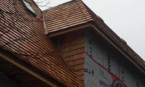 Cedar